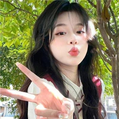 雍正王朝