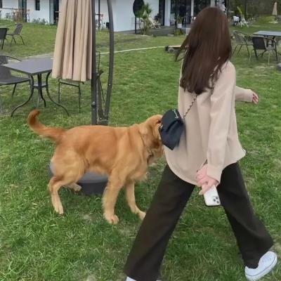 网络凶铃